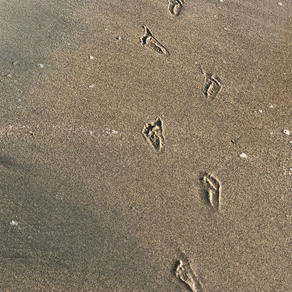 Meet your Posher, Candice - Picture 1 of 1